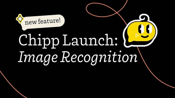Chipp Launch: Image Recognition 🖼️ ✅